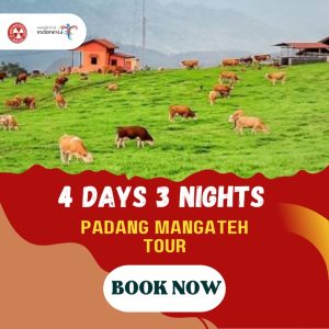 4D3N PADANG MANGATEH TOUR