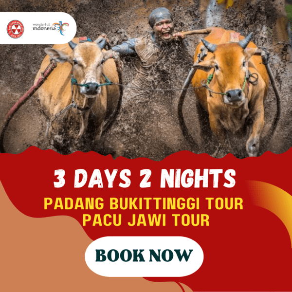3D2N PADANG BUKITTINGGI TOUR PACU JAWI TOUR