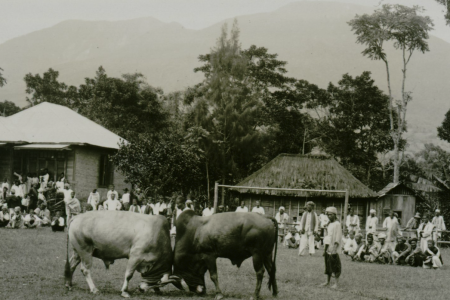 MINANGKABAU: NAMA YANG LAHIR DARI MENANG KERBAU