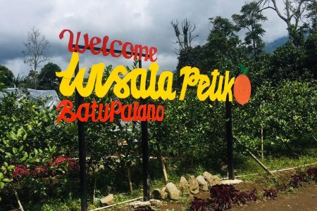 Wisata Petik Jeruk