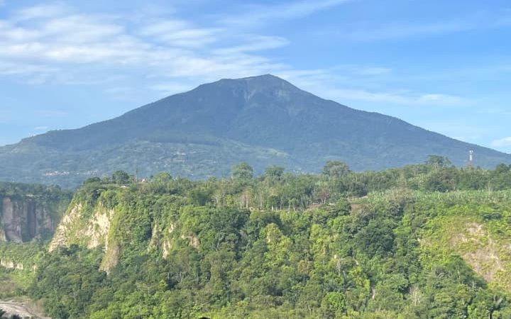 WhatsApp Image 2026-02-03 at 15.34.46 (1)