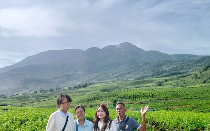 WhatsApp Image 2026-02-12 at 15.31.43