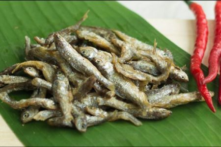 Dari Danau ke Dapur: Cerita Ikan Bilis Khas Minangkabau