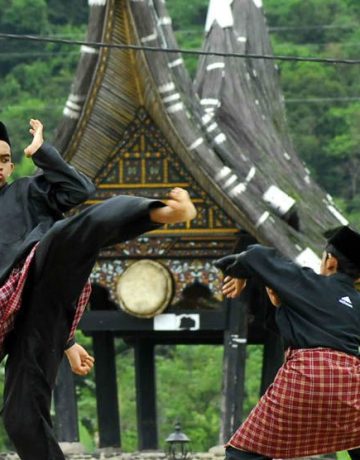 Pencak Silat