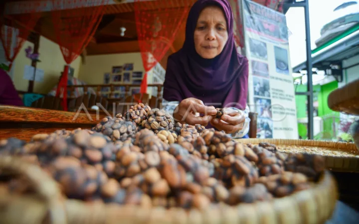 wisata-mengenal-kopi-luwak-134kl-dom